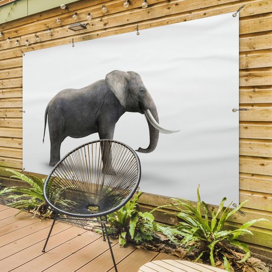 Décoration murale Eléphant sur fond blanc - 180x120 cm - Poster jardin - Toile jardin