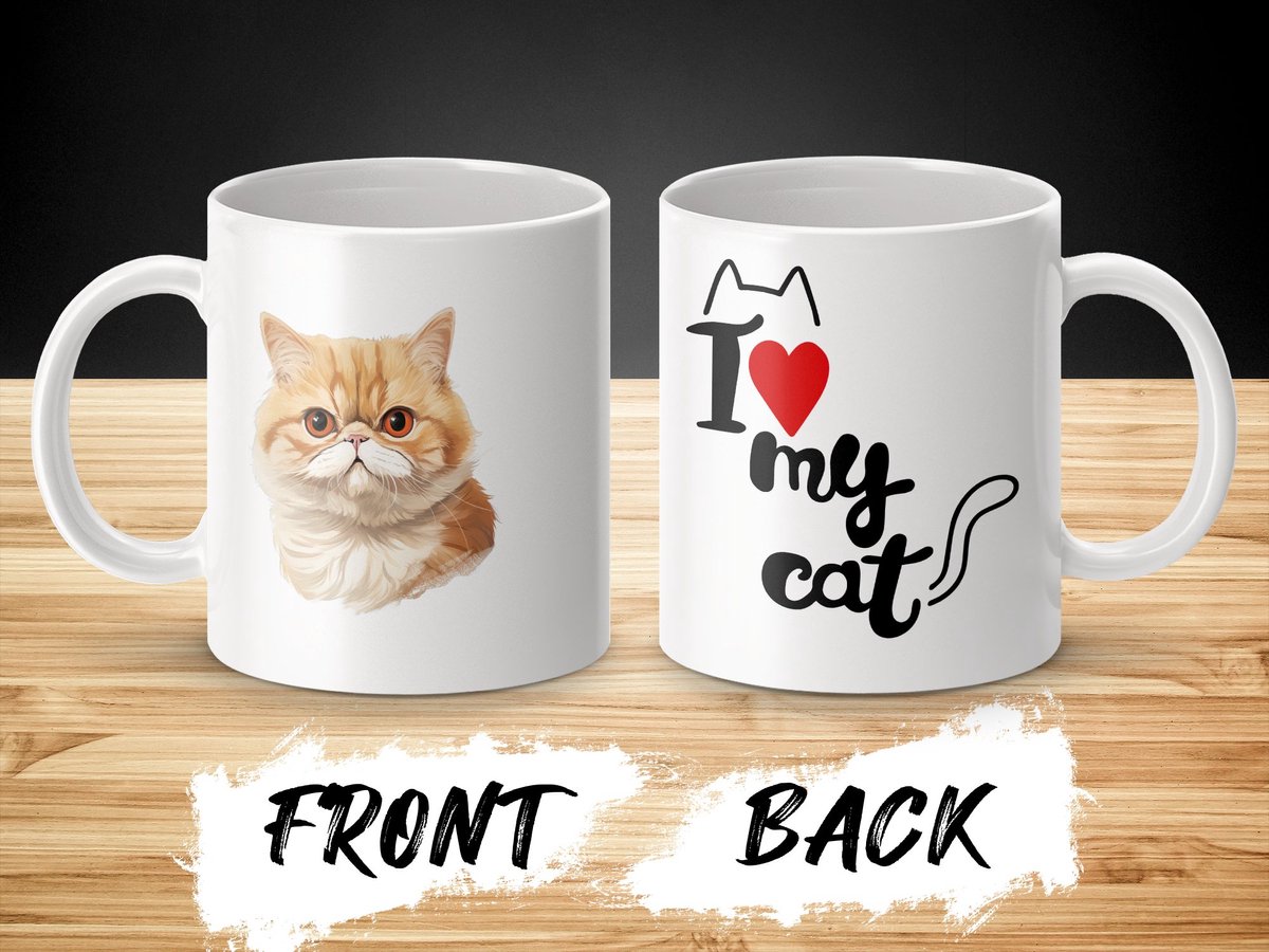 Mok Exotic Shorthair cat - kat - I love my cat - cat lovers - katten
