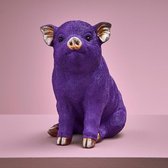 Spaarpot - Spaarvarken Piggybank Purple