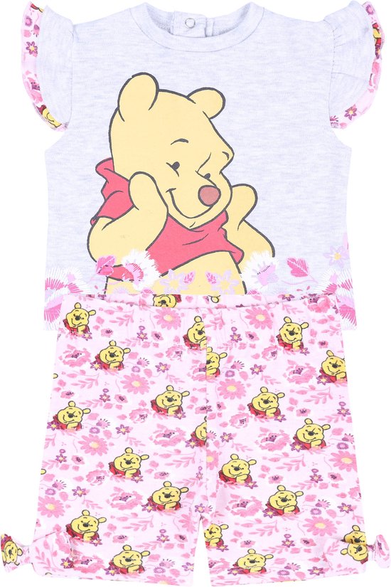 Grijze en roze Winnie de Poeh-set DISNEY