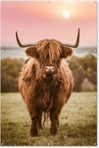 Tuinposter 120x180 cm - Tuindecoratie Zonsondergang - Dier - Schotse hooglander - Poster voor in de tuin - Buiten decoratie - Schutting tuinschilderij - Tuindoek muurdecoratie - Wanddecoratie balkondoek