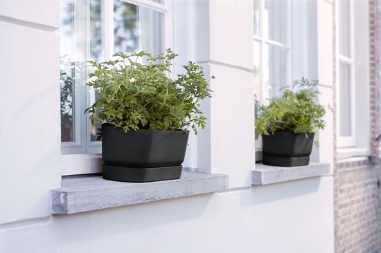 Zwarte, rechthoekige plantenbak van gerecycled plastic op een vensterbank met een groene plant.