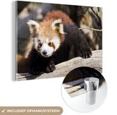 MuchoWow® Glasschilderij 90x60 cm - Schilderij acrylglas - Rode Panda - Boomstam - Dier - Foto op glas - Schilderijen