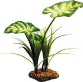 Auvent à feuilles larges Komodo 26 cm