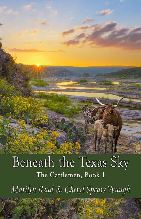 Beneath the Texas Sky - cover