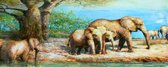 Schilderij - Handgeschilderd - Olifanten in de Savanne , 60x150