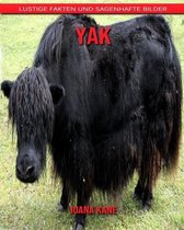 Yak