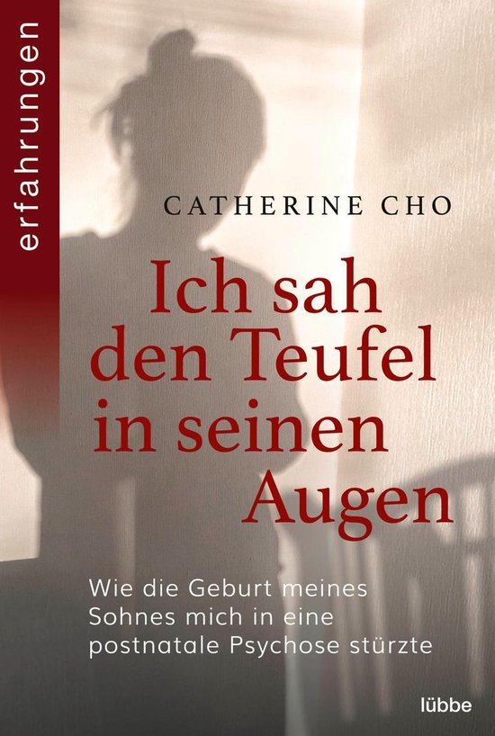 Ich sah den Teufel in seinen Augen - cover
