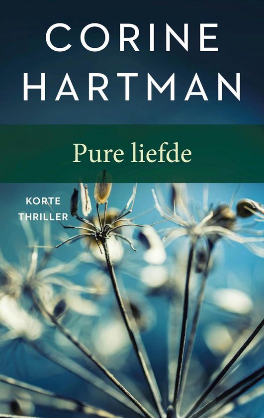 Pure liefde - cover