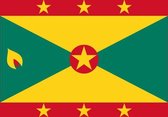 vlag Grenada 30x45cm