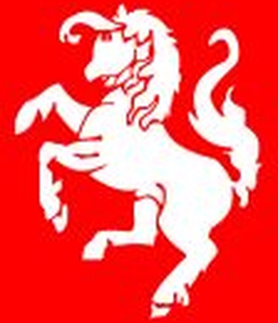 Vlaggetje Twente 20x30cm