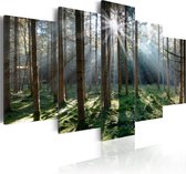 Schilderijen Op Canvas - Schilderij - Fairytale Forest 200x100 - Artgeist Schilderij