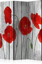 Kamerscherm - Scheidingswand - Vouwscherm - Tale of Red Poppies [Room Dividers] 135x172 - Artgeist Vouwscherm