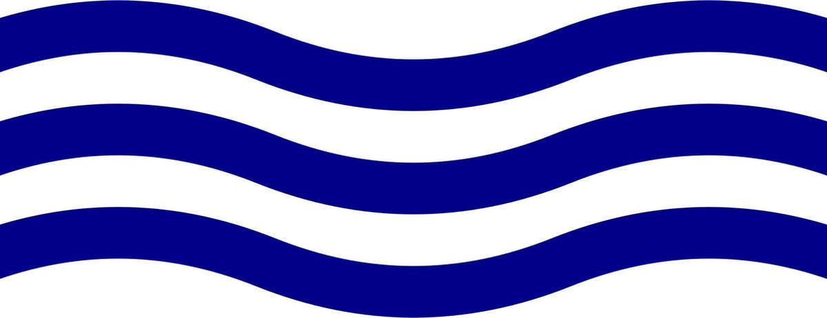 Vlag Denderleeuw 100x150cm