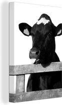 Tableau Peinture Vache tirant la langue - noir et blanc - 60x90 cm - Décoration murale
