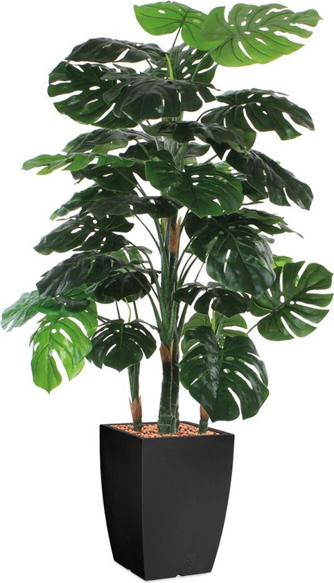 HTT - Kunstplant Monstera in Genesis vierkant antraciet H160cm