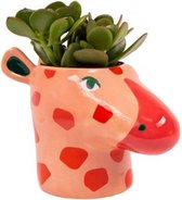 bloempot Giraffe 8 cm keramiek rood