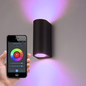 Calex Smart WiFi LED GU10 5W RGB+CCT en Wandlamp Douglas - Zwart - IP44