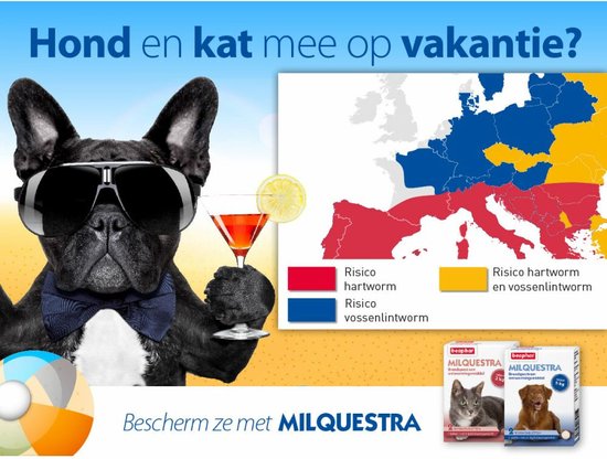 Beaphar Milquestra Kleine Hond/Puppy - Ontwormingsmiddel - 2 Tabletten