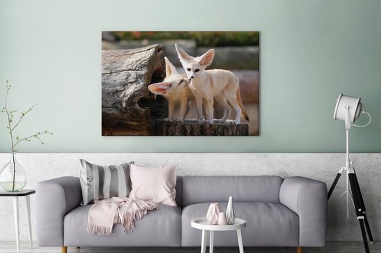 Deux adorables renards Fennec sur un tronc d'arbre Toile 180x120 cm - Tirage photo sur Toile (Décoration murale salon / chambre) / Animaux sauvages Peintures sur toile XXL / Groot format!