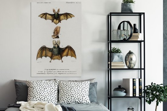 Tableau sur toile Chauve-souris - Vintage - Animal - 90x140 cm - Décoration murale