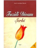 Fuzuli Divanı Şerhi