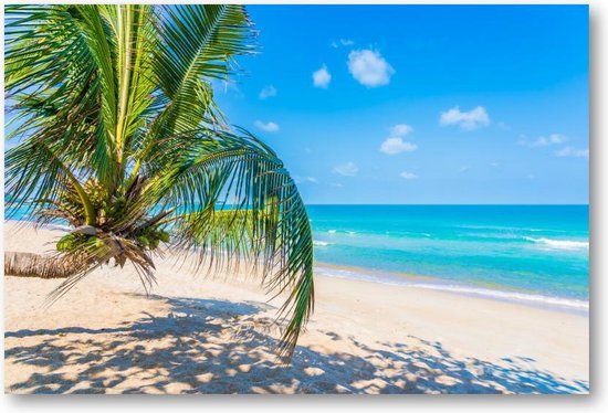 Tropisch strand met palm onder de blauwe hemel | Canvas Liggend | Natuur