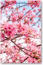 Roze Bloesem met een Blauwe Lucht - 1000 Stukjes puzzel voor volwassenen - Besteposter - Landschap - Natuur - Bloemen