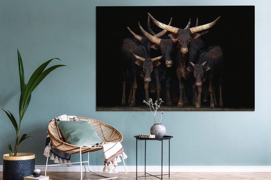 Canvas schilderij 150x100 cm - Wanddecoratie Koeien - Watussi - Zwart - Muurdecoratie woonkamer - Slaapkamer decoratie - Kamer accessoires - Schilderijen