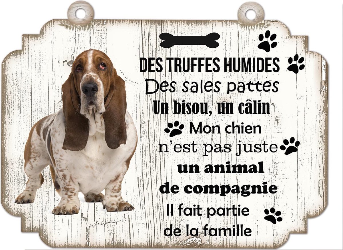 Tableau Déco - Basset Hound