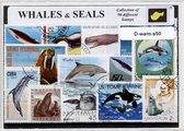 Walvissen & Robben – Luxe postzegel pakket (A6 formaat) : collectie van 50 verschillende postzegels van walvissen & robben – kan als ansichtkaart in een A6 envelop - authentiek cad