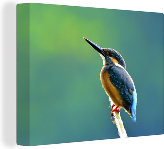 Tableaux sur Peintures Martin-pêcheur - Branches - Blauw - 120x90 cm - Décoration murale