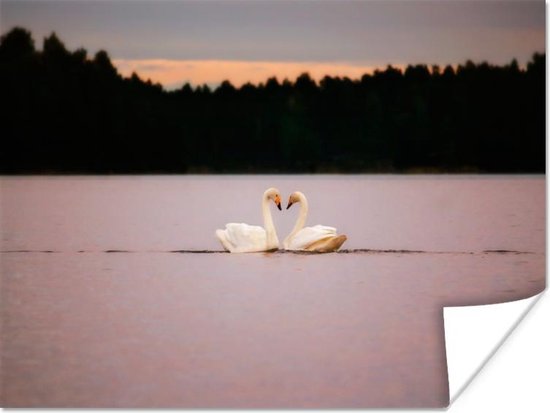 Poster Cygnes - Water - Arbres - 40x30 cm