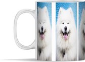 Mok - Gezichtsuitdrukkingen van de Samoyeed - 350 ml - Beker