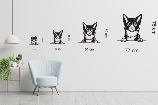 LaPerm - Chat - Femelle - M - 60x61cm - Zwart - décoration murale