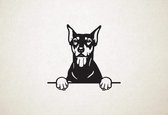 Duitse Pinschers - hond met pootjes - M - 60x66cm - Zwart - wanddecoratie