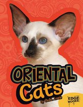 All About Cats - Oriental Cats