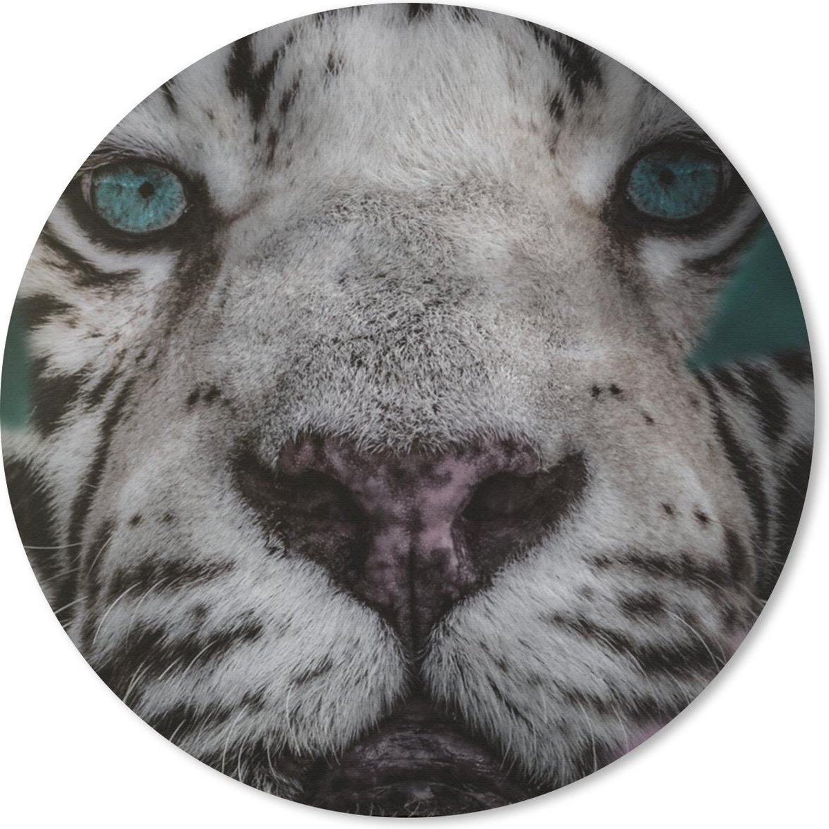 Muismat rond 40x40 cm - Mousepad Jungle - Tijger - Zwart - Wit - Ronde muismatten