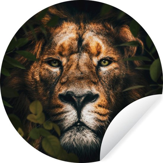 Cercle de papier peint - Un lion dans la jungle parmi les plantes - ⌀ 140 cm