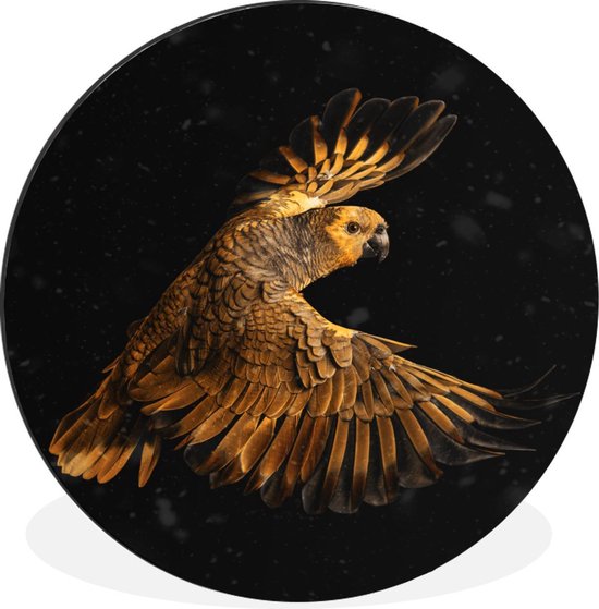 Wandcirkel - Aluminium - Vliegende papegaai met gouden veren op een zwarte achtergrond - ⌀