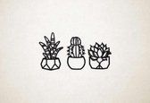 Wanddecoratie - Cactussen - S - 31x58cm - Zwart - muurdecoratie - Line Art