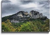 Walljar - Seneca Rocks - Muurdecoratie - Plexiglas schilderij