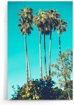 Walljar - Tropical Dream - Muurdecoratie - Poster.