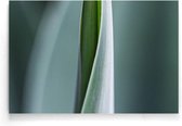 Walljar - Close-up Blad III - Muurdecoratie - Poster