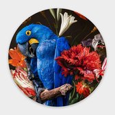 Muurcirkel Macaw Parrot Round - Papier - Meerdere Afmetingen & Prijzen