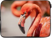 Laptophoes 13 inch - Close-up van een roze flamingo die aan het rusten is - Laptop sleeve - Binnenmaat 32x22,5 cm - Zwarte achterkant