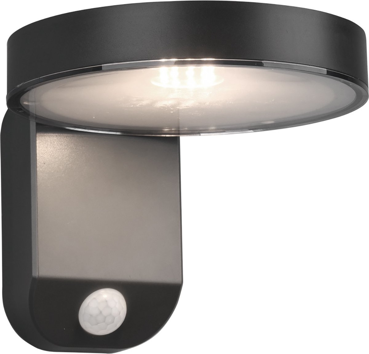LED Solar Tuinverlichting - Torna Posyda - Zonne-energie - Bewegingssensor - 4W - Mat Antraciet