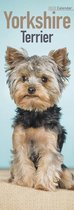 Yorkshire Terriers 2022 Slimline Calendar