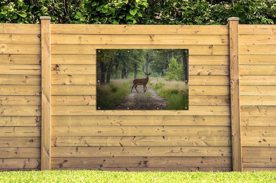 Affiche de jardin Forêt - Cerf - Arbres - 120x80 cm - Jardin