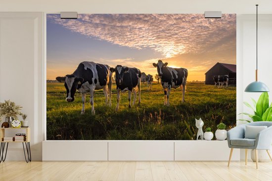 Papier peint - Papier peint photo Vache - Animal - Pâturage - Largeur 390 cm x hauteur 260 cm